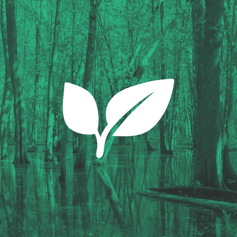 LD 497 Protect Vernal Pools