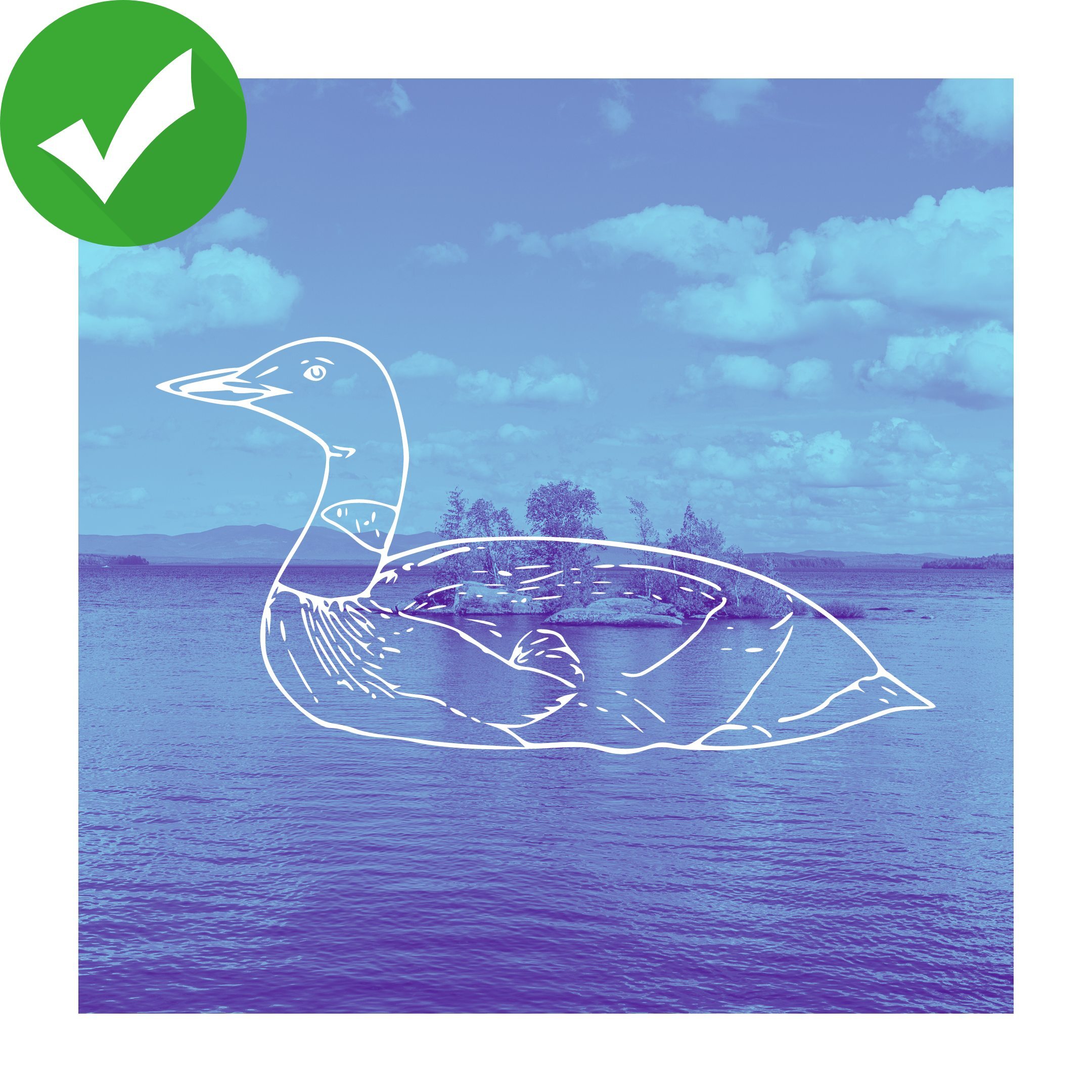 LD 958 Loon Lead Tackle